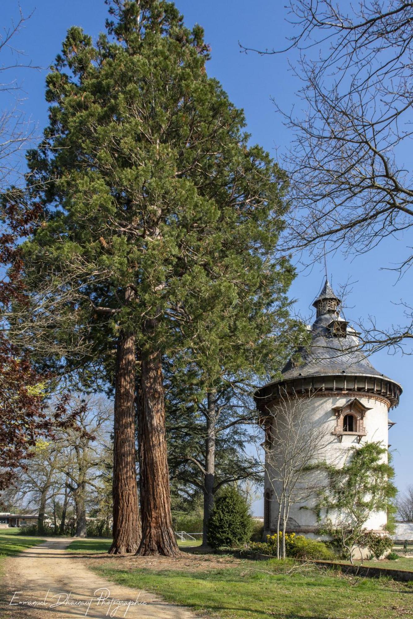 Orangerie De Chatel-Selection Figaro & Elle Magazine Cleppe Luaran gambar